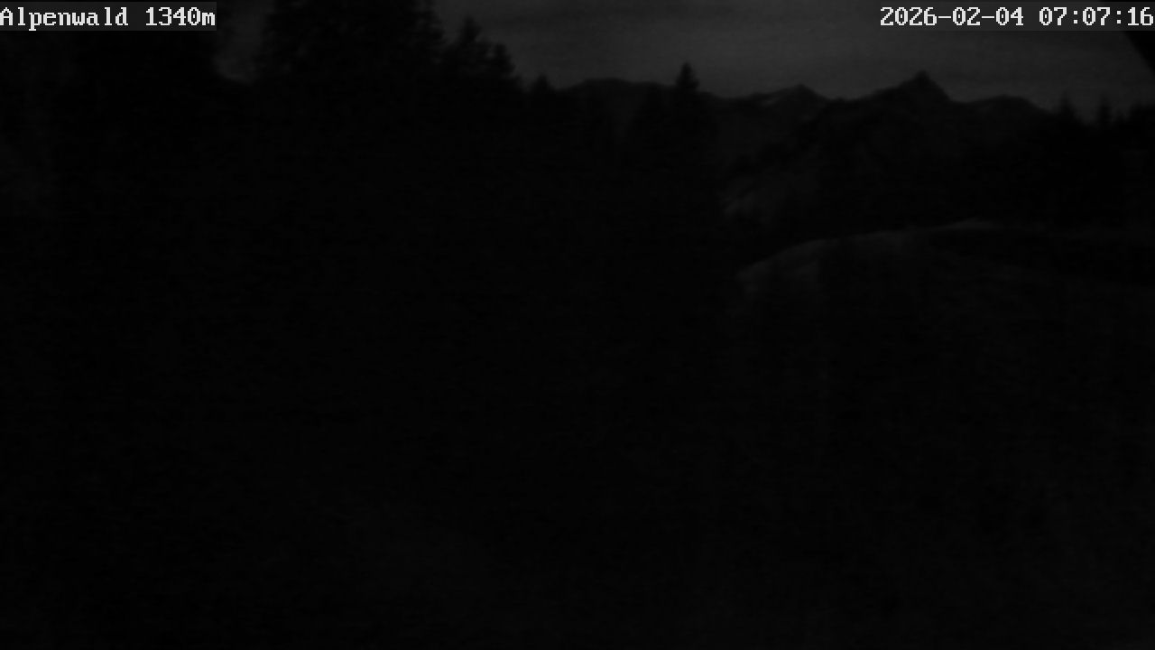 Image: Gasthof Alpenwald